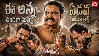 Harikrishna's Blockbuster Movie Seetayya | All-Time Powerful Scene🔥💥| Telugu Movie Scenes