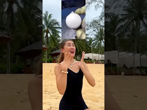 ✨🪩🏝️🪩✨ #tiktok #shorts