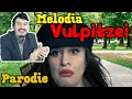 Lagu Vulpitza si Viorel . ep 5 . Melodia Vulpitzei ( Parodie )