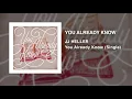 JJ Heller - You Already Know (Official Audio Video)