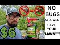 Spectracide Triazicide Insect Killer For Lawns Landscapes REVIEW
