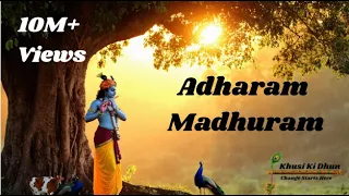 adharam madhuram lofi krishna bhajan bhajan song krishna bhajan krishnabhajan krishna love