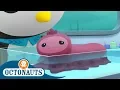 Octonauts - Icky and Sticky Triple Special Cartoons for Kids