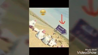 فيديو اغنية خراب خربنا بطيئ 