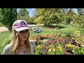 Download Lagu September Garden Tour! A Look at How The Plants are Holding Up With Lots of Sunshine ☀️ \u0026 No Rain 🌧