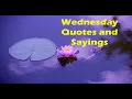 Wednesday Quotes and Sayings Wednesday morning quotes happy Wednesday quotes