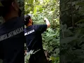 gini caranya mikat murai hutan pakai pulut