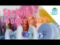 Practice Sorting and Patterns with this Button Snake Activity Family Math PBS SoCal
