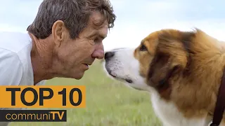 top 10 dog movies