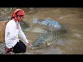 Download Lagu Fishing Skills - Single Mom Uses Traditional Fishing Techniques to Catch Giant Carp and Catfish