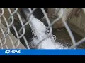 What recent storms reveal about Bay Area s aging wastewater systems