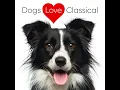 24 Preludes, Op. 28: Prelude No. 11 in B Major: Desire of a Young Girl
