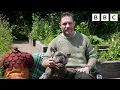 Bedtime Stories Tom Hardy reads The Oak Tree CBeebies