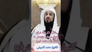 كثرة ذكر الله ترفع العبد درجات وتجعل له عند الله مقاما كبيرا 