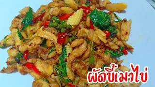 ผัดขี้เมาไข่เจียว เมนูไข่ง่ายๆ Stir fried kee mao omelette : เมนูง่ายๆ Easy Food