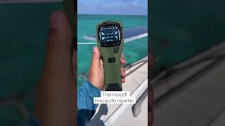 Best NOSEEUM REPELLENT TRICKS for the BAHAMAS! #Shorts
