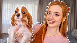Мне подарили СОБАКУ 🐶