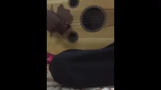 شعبيات عود مات الوفاء   دندنها