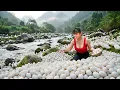 [TIMELAPSE] --226 Days Harvesting Many Duck Eggs By The Stream, Purple Corn, Chicken Eggs Go To Sell