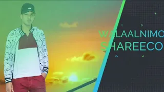shareeco walaalnimo thnks to sholi aun 2022 video