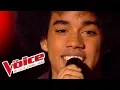 Download Lagu Gloria Gaynor – I Am What I Am | Gwendal Marimoutou | The Voice France 2014 | Blind Audition