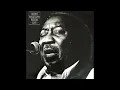 Muddy Waters - Deep Down In Florida