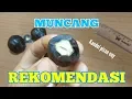 Download Lagu Muncang aduan lihat tebal batoknya sangat rekomendasi - muncang kemiri