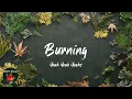 Yeah Yeah Yeahs - Burning (Lyric video)