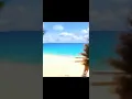 Tiktok Moana How far I'II go song funny video @issei0806