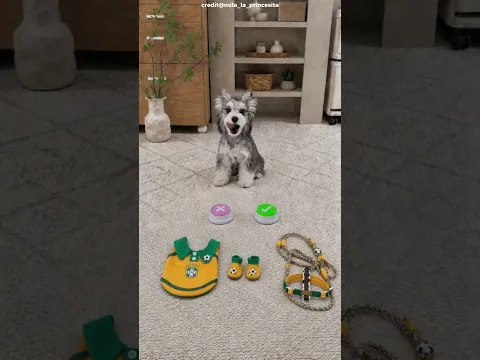🐶🇵🇹 This dog only likes Ronaldo’s team! 😂⚽#shortvideo