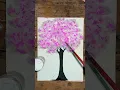 easy cotton tree Bachelor -