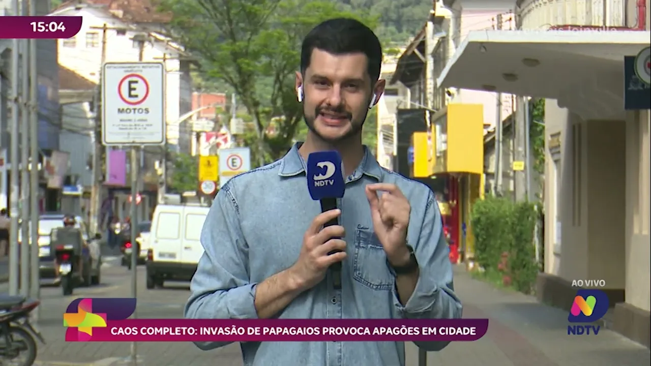 Caos completo invasão de papagaios provoca apagões em cidade