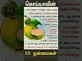 Download Lagu கொய்யா 10 ஆரோக்கிய நன்மைகள்/guava 10 health benefits#shorts#ytshorts #trendingshorts #viralshort