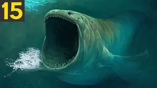 15 most dangerous ocean creatures in the world