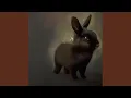 Download Lagu bunnybunnybunny