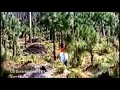 Download Lagu Ek Baar Milo Hum Se | Classic Song | Pakistani Film Bobby | HD