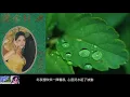 經典歌曲專輯 【第三輯】 ~  姚蘇蓉 Yao Su Rong