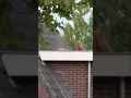 Download Lagu Verwarde man zit urenlang in onderbroek op dak van woning in Roermond | #L1Nieuws