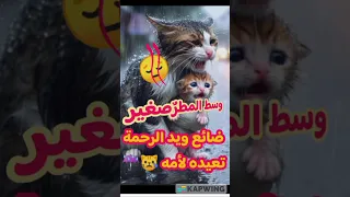 وسط المطر صغير ضائع ويد الرحمة تعيده لأمه 