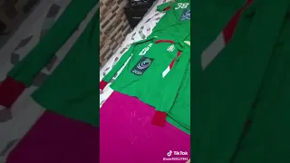 المارد الاخضر 