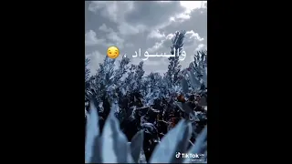 حالات واتس  العيون الغل بان   دندنها