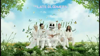 Bruno Mars Finesse The Late Bloomers Cover 