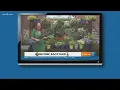 How to properly water your plants and garden