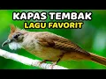 Download Lagu MASTERAN SUARA KAPAS TEMBAK GACOR DOR NGEBREN NEMBAK PANJANG DURASI PANJANG