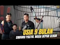 Lagu PODIUM SATU || SINDORO PASTOL USIA 9 BULAN MASA DEPAN CERAH 