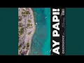 AY PAPI feat Marvin s Brain rocko
