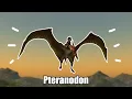 Getting the Pteranodon Mount