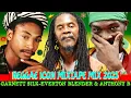 Download Lagu Reggae Legends Mix Ft. Best Of Garnett Silk, Everton Blender \u0026 Anthony B Mix 2025! Conscious Reggae