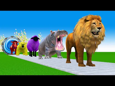 Download MP3 Paint Animals Lion, Hippo, Sheeps, Bear, Cow  Fountain Crossing Animals