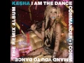 Download Lagu We R Who We R Fred Falke Club Mix - Ke$ha I Am The Dance Commander + I Command You To Dance